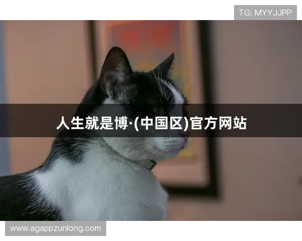 尊龙凯时人生就是搏app下载:助你实现梦想的全新平台 尊龙凯时人生就是搏app下载:助你实现梦想的全新平台