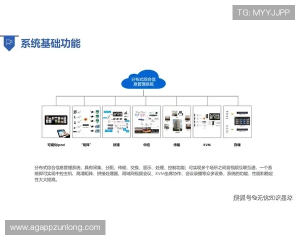 尊龙体育集团的数字化转型路径与技术应用，助力企业实现智能化运营与管理