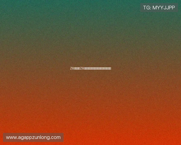 Z6就是博：Z6如何实现高效运营与持续发展的战略布局